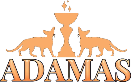 Adamas — питомник британских кошек